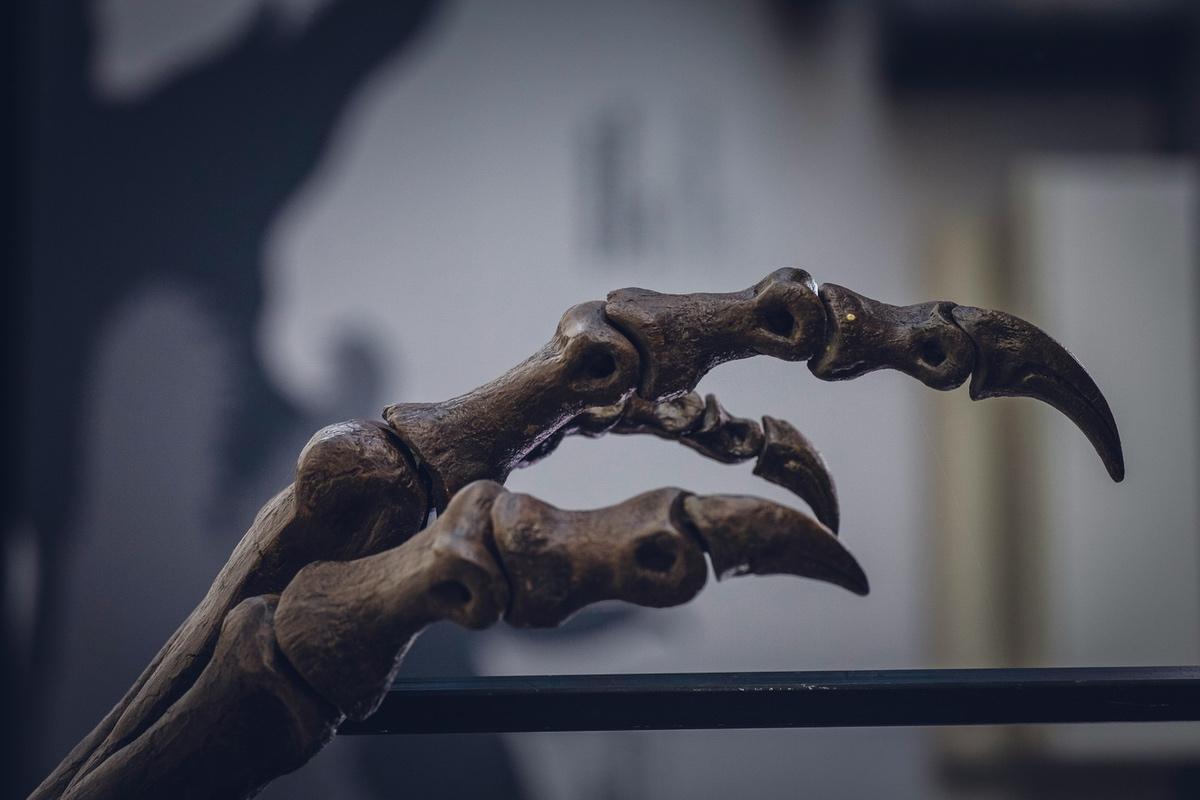 Ученые открыли новый вид эласмозавра: 12-метровый гигант с «сюрпризом»