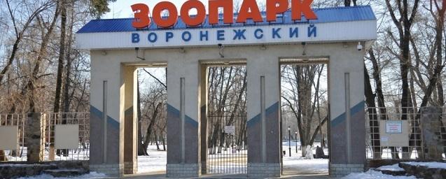 Воронежский зоопарк проводит конкурс ко Дню святого Валентина