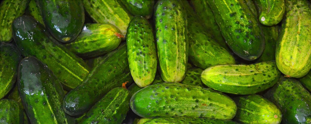 Ukraine imports cucumbers from Russia for the first time