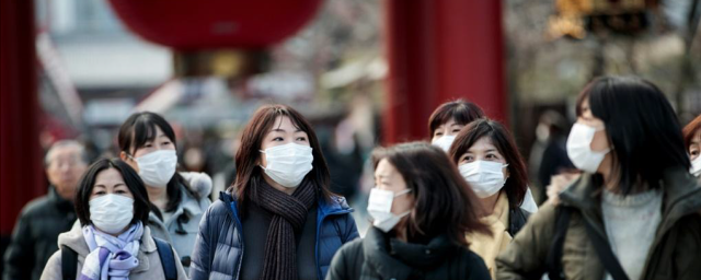 В Японии создали пластиковую карту, уничтожающую вирусы