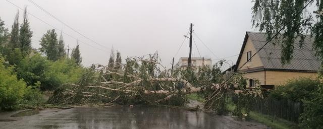 На севере Омской области ураган вырвал с корнем деревья