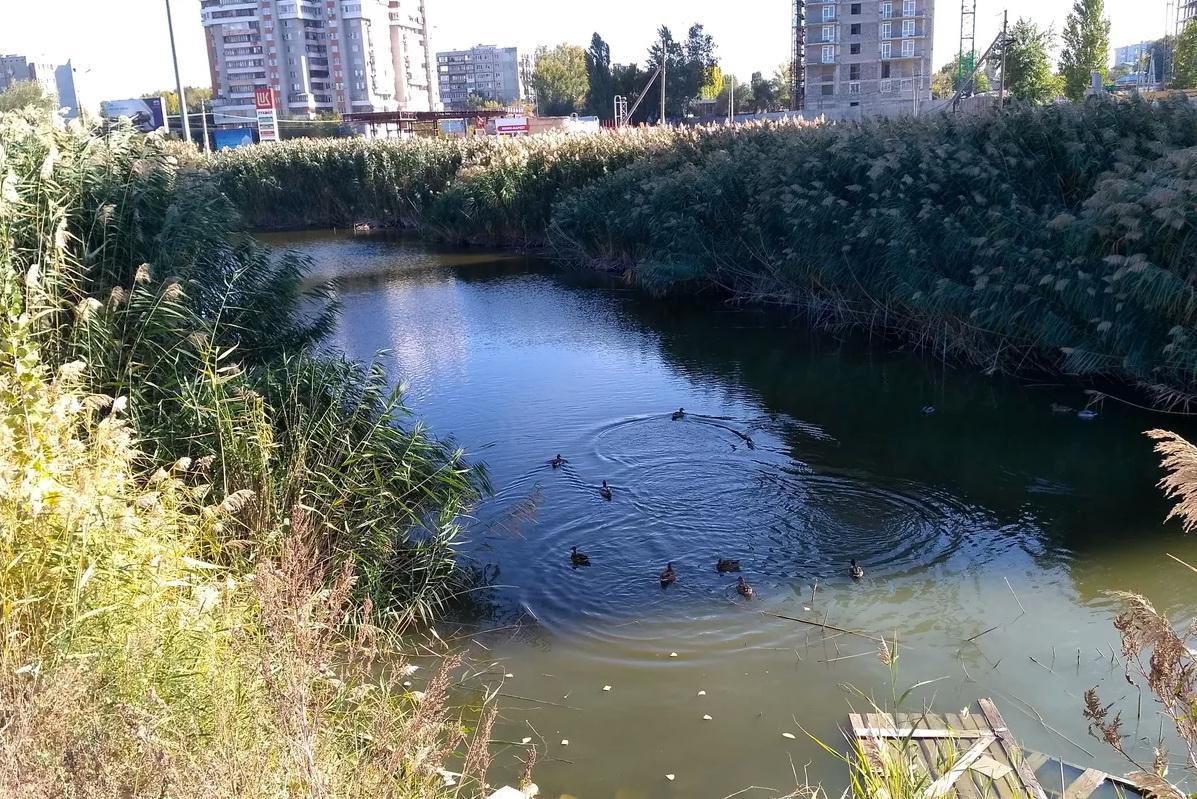 Здоровье жителей села Гатиха под угрозой из-за сточных вод