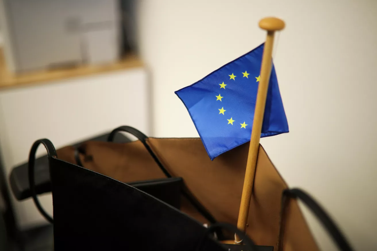 Поступят как с Африкой: политолог объяснил, чего опасаются в ЕС