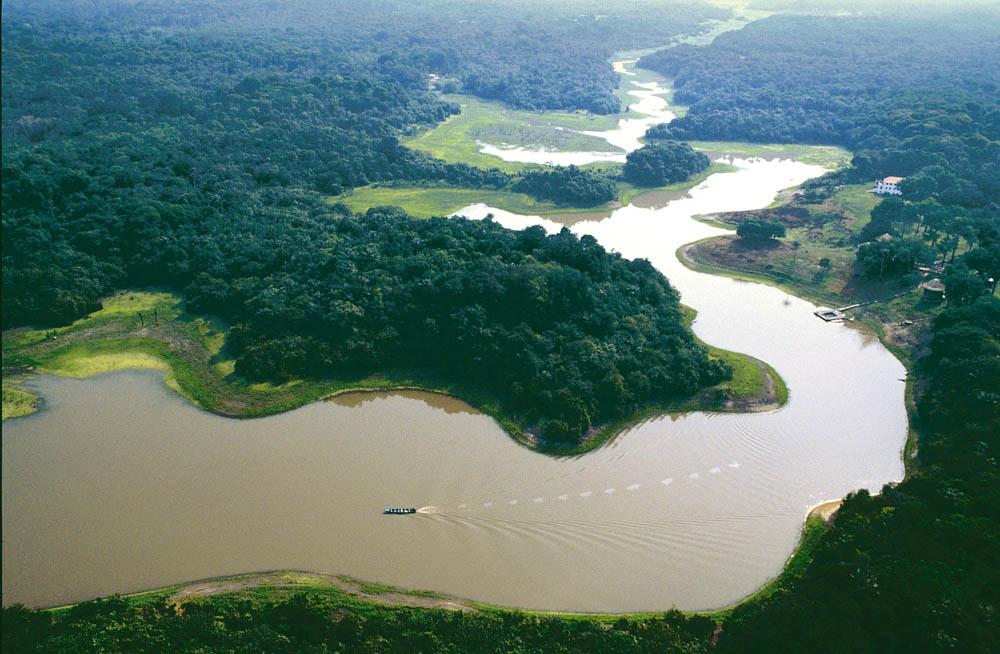 Экологи: Бассейну Амазонки грозит исчезновение‍