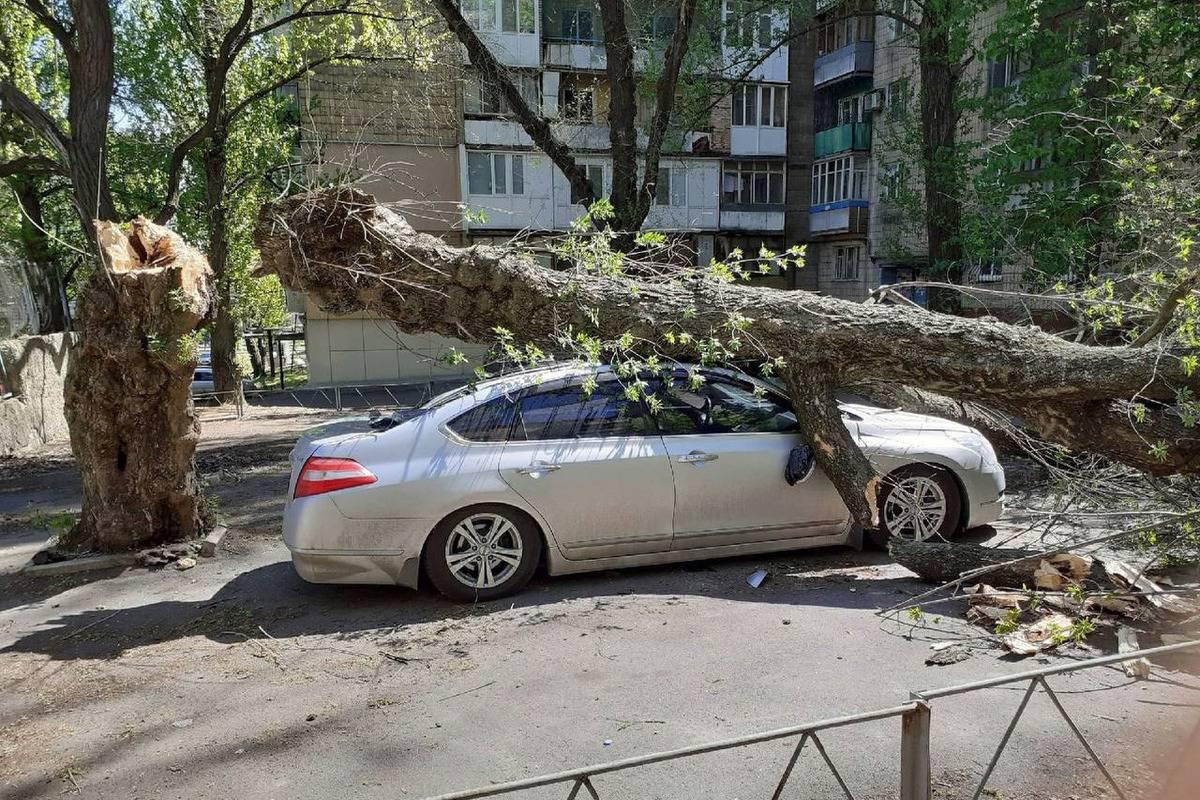 Как гарантированно получить компенсацию, если на ваш автомобиль упало дерево или билборд