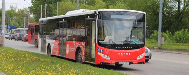В Перми с 25 июля изменят расписание пяти автобусных маршрутов для ускорения движения
