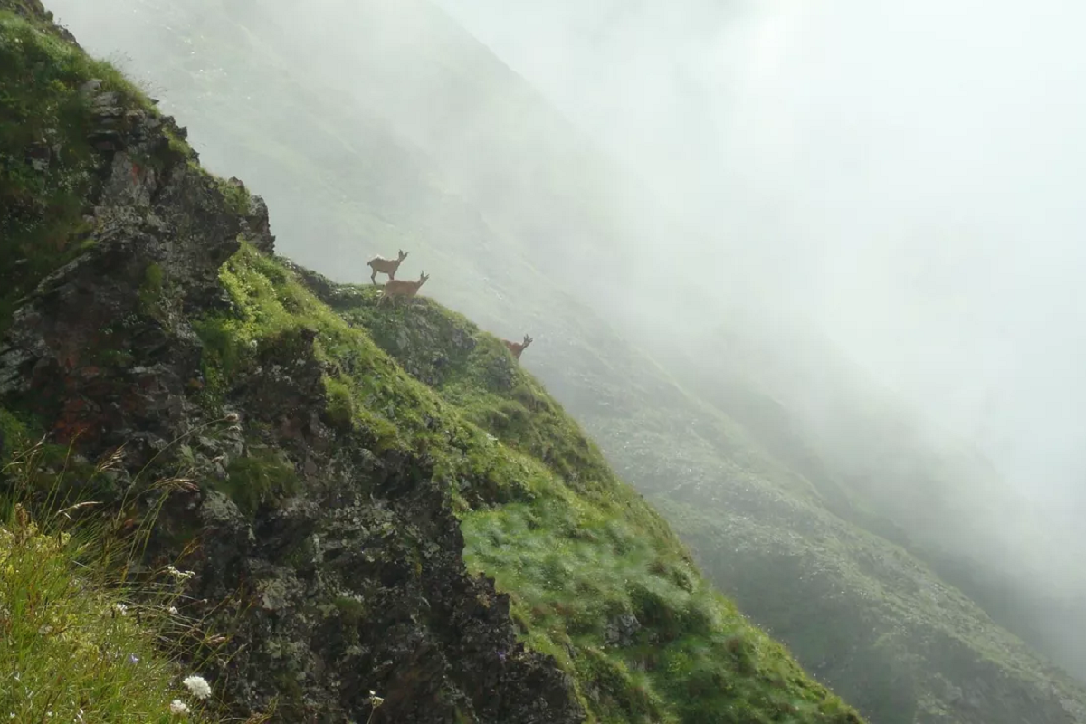 Самый большой заповедник Кавказа объявил об открытии туристических маршрутов