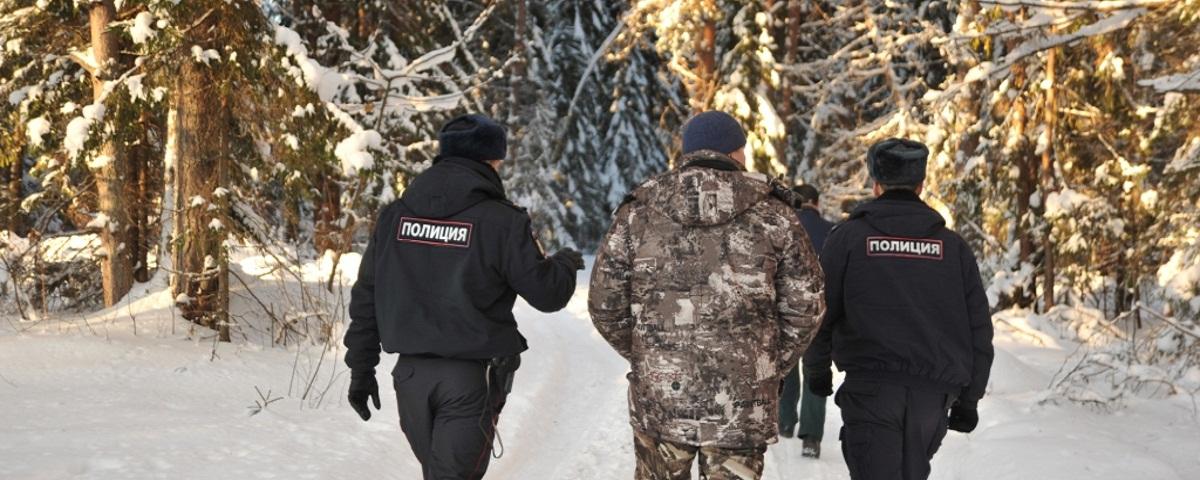 Хвойные леса Курской области возьмут под охрану