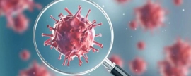 WHO: Coronavirus incidence in the world decreased by 9% in a week