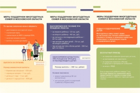 Губернатор Андрей Воробьев: Число многодетных семей в Подмосковье выросло до 118 тысяч