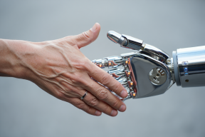 Эксперт рассказал, какие профессии останутся востребованными в эпоху ИИ