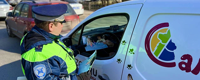 В Красногорске провели массовую проверку водителей на трезвость