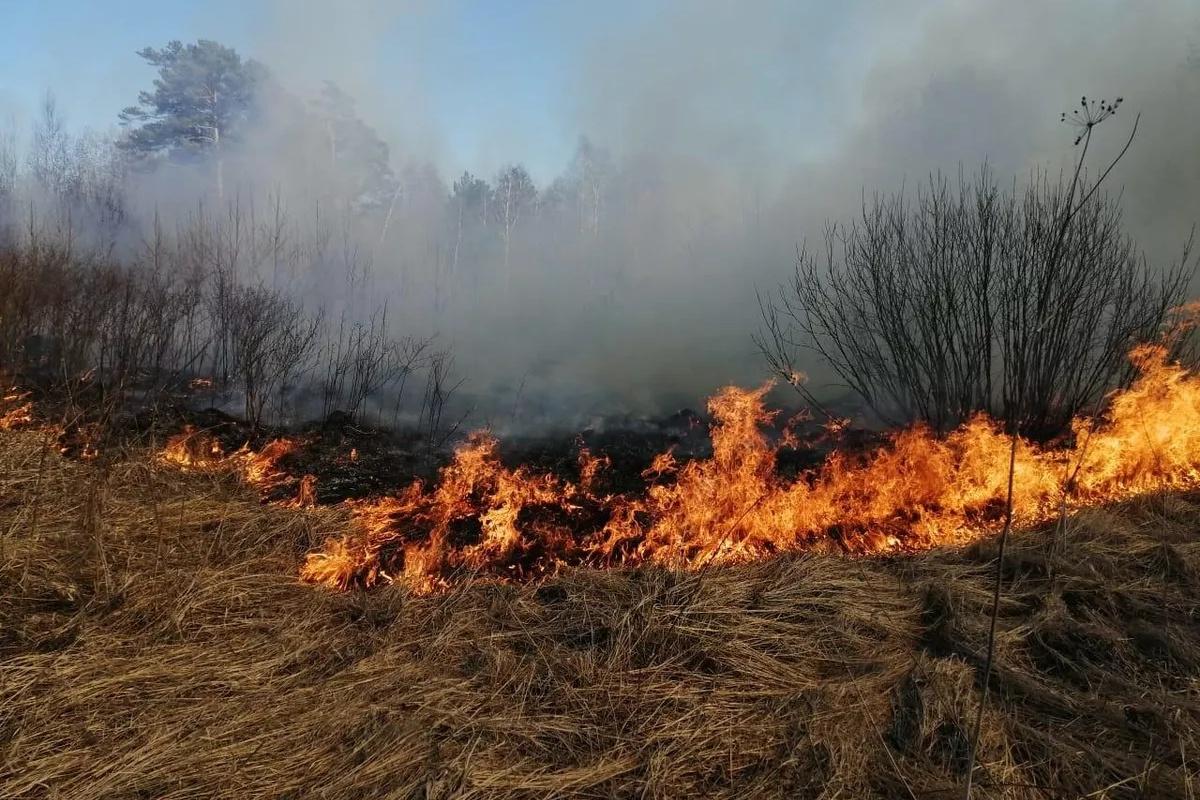 МЧС Мурманской области: на 23 и 24 июня в регионе введен 4-й класс пожарной опасности