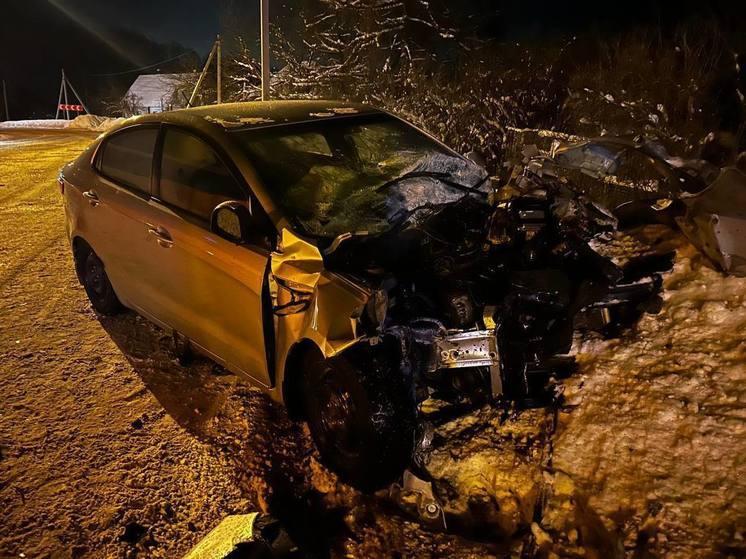 За сутки в Рязанской области в ДТП пострадали 11 человек