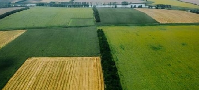 В Краснодарском крае предприниматели могут арендовать 70 га земли по льготным ставкам