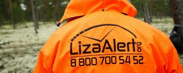 Отряд «Лиза Алерт» принял 113 тысяч заявок, помог найти почти 100 тысяч человек