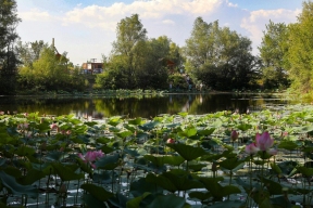 Экологический туризм в Волгограде набирает популярность