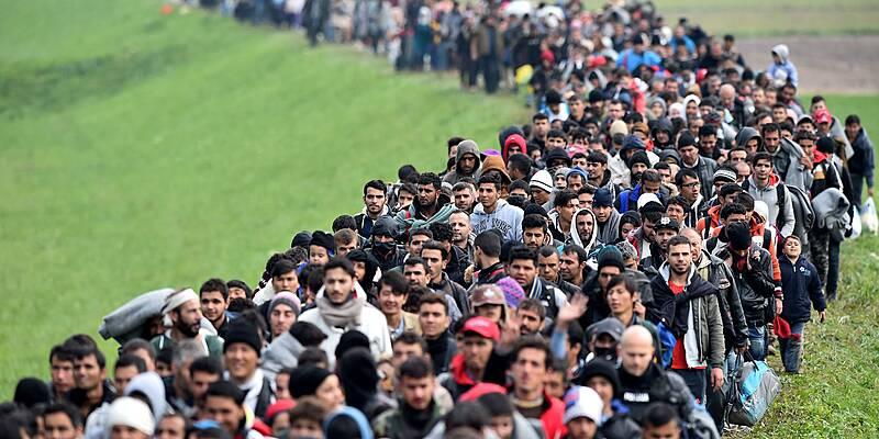 Guardian: Britain is slammed by a record wave of immigration