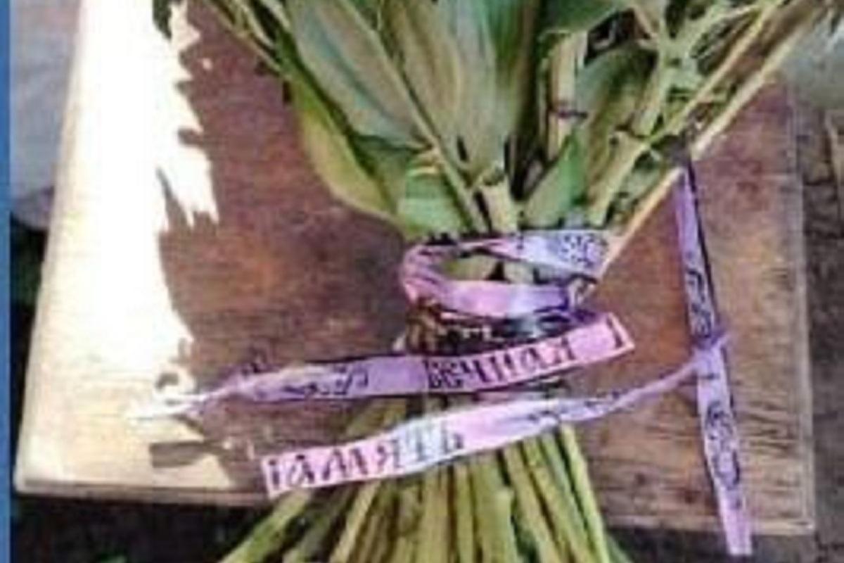 В Липецкой области учителю на 1 сентября подарили букет с траурной лентой