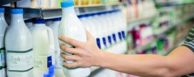 ФАС проверит высокие наценки на молочную продукцию в России