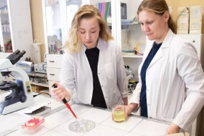 «Сириус» предложил новый метод борьбы с диабетом