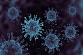 Попова предупредила об опасности появления нового мутировавшего вируса гриппа