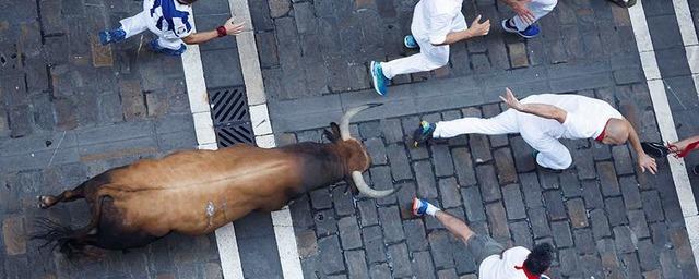 В Испании после забега с быками погиб один человек