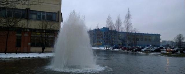 В Петербурге на Полевой Сабировской из-под асфальта бьет фонтан воды