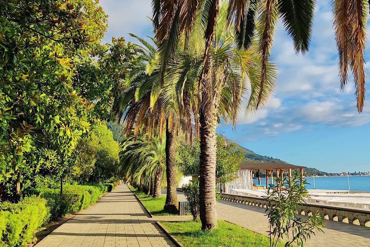 Аналитики назвали Абхазию самым доступным направлением для осеннего отдыха в 2025 году