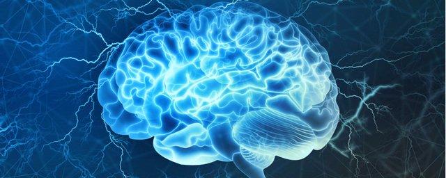 Создана нейросеть, выявляющая нарушения в работе мозга