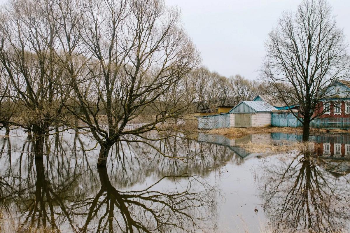 Жителей Кургана предупредили о риске затопления водозаборных сооружений