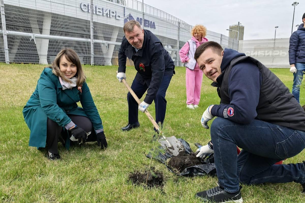 У Сибирь-Арены в Новосибирске высадили 80 ёлок в рамках акции «Сад Памяти»