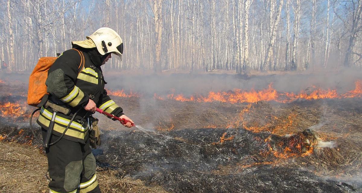 Лесные пожары мчс. Лесные пожары в Тюменской области. Пожароопасный период. Пожарные тушат Лесной пожар. Пожар фото.