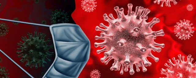 Во Владимирской области за прошедшие сутки коронавирус диагностировали у 215 жителей