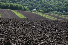 Учёный: В России большая беда с недостатком удобрений в почве, мы проедаем почвенное плодородие
