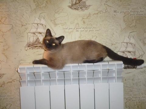 В трех домах в Нижнем Новгороде 2 ноября не будет света и отопления