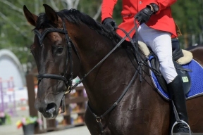 Конный спорт в Севастополе стартовал с размаху: первые чемпионат и первенство прошли в Крыму