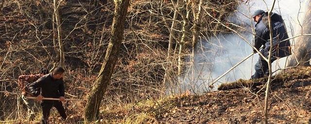В Краснодарском крае из-за пожаров до 11 января ограничили доступ к лесам