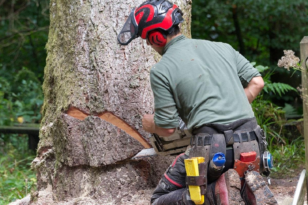 В Новосибирской области браконьеры пытались помешать инспекторам Минприроды, пробив колеса на их машине