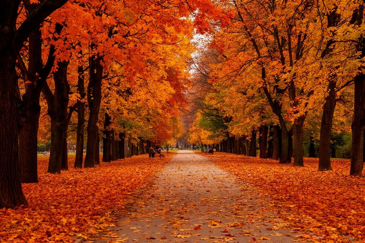 Сентябрьское тепло задержится в Новосибирске до конца месяца