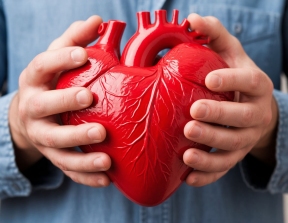 Кардиолог Рудченко рассказал, как сохранить здоровье сердца и сосудов