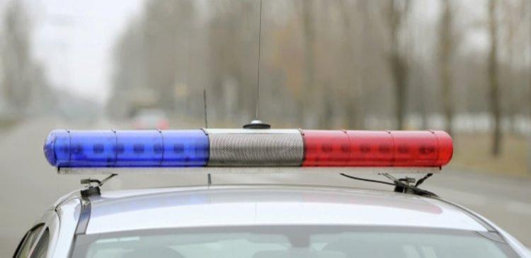 Полиция нашла бордель на Невском благодаря рекламе на асфальте