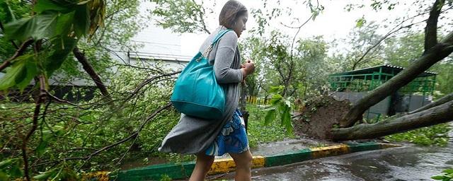 В Москве из-за сильного ветра пострадали десять человек