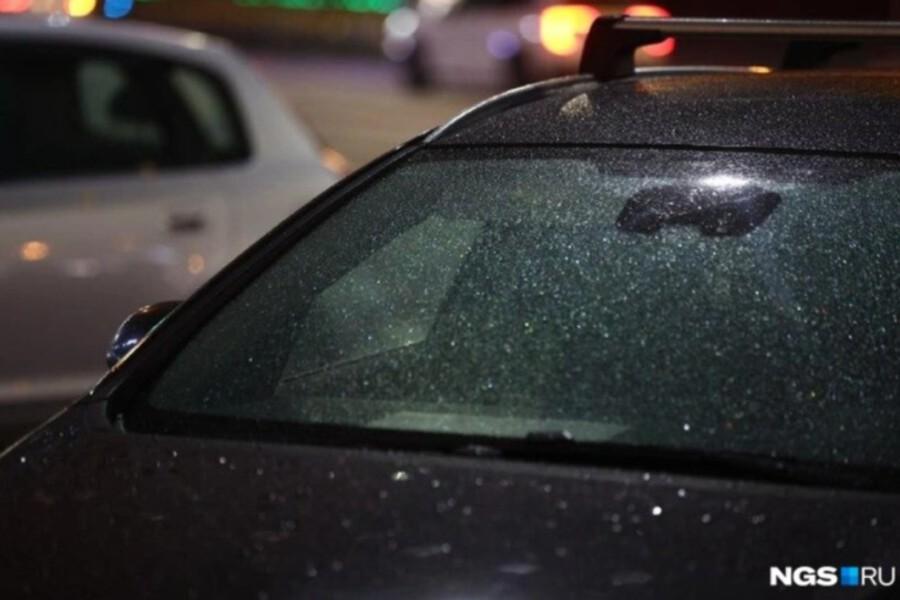 Первые заморозки пришли в Новосибирскую область