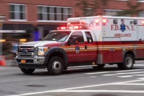 Жительница Нью-Йорка заразилась тропической лихорадкой, не выезжая из страны