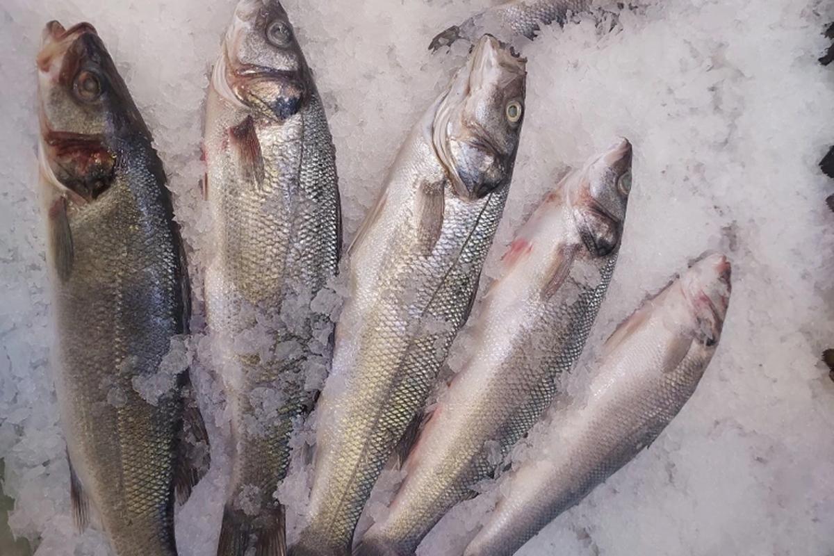 Новосибирская область поставила в Китай 44 тонны ротана и нарастила экспорт рыбы почти в три раза