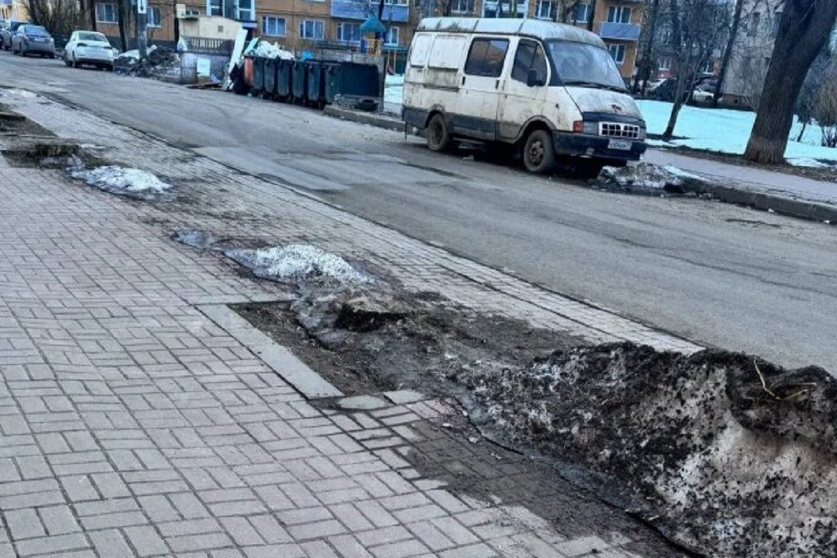 В Калуге отказались от озеленения улицы Николо-Козинской