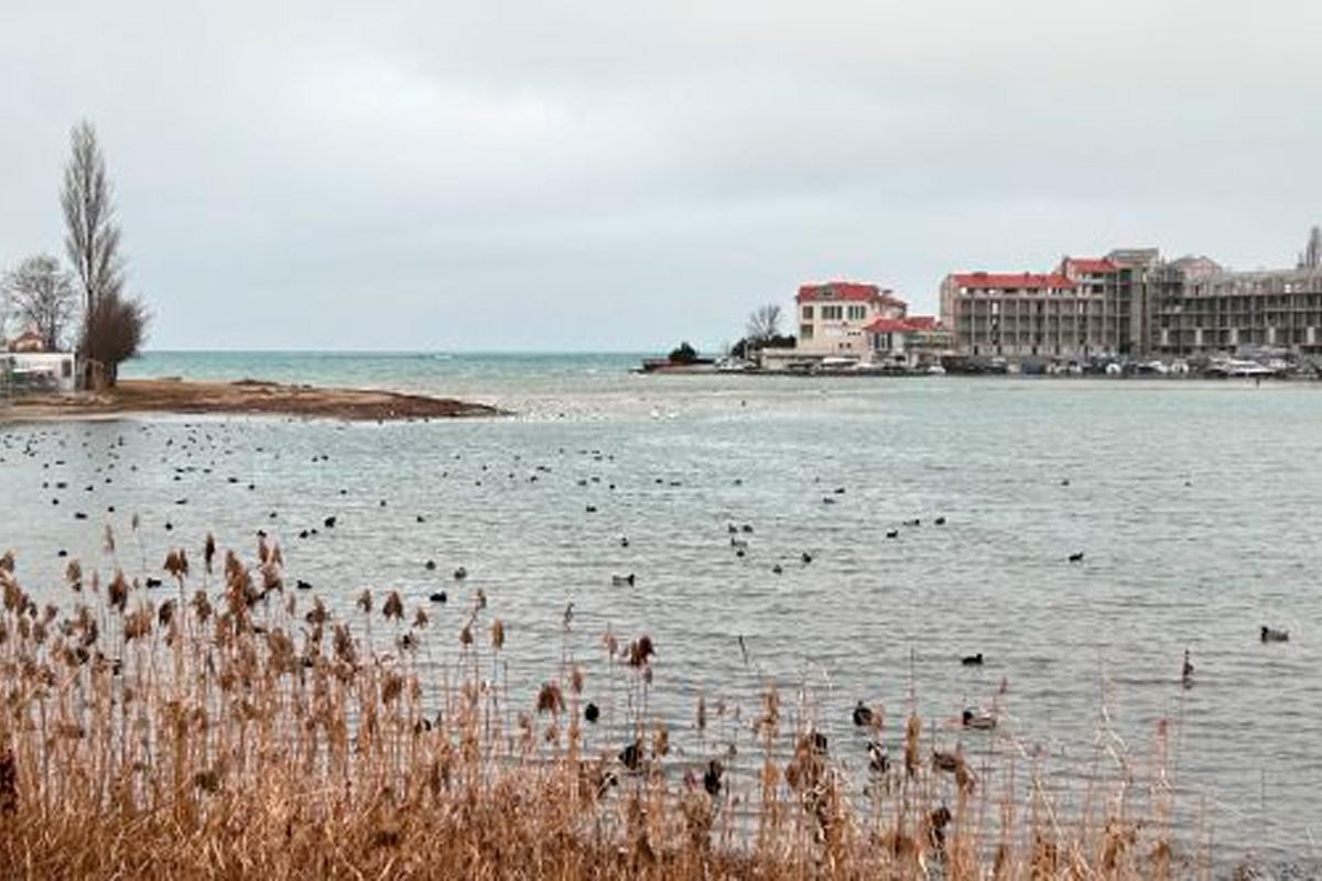 Севастополь усилит меры по защите бухт от загрязнений