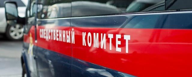 В Челябинской области молодую мать подозревают в убийстве двух детей