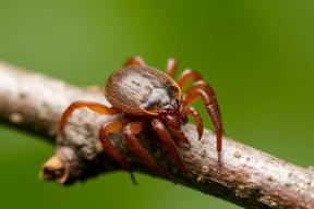 Грипп без кашля и насморка: врач предупредила о смертельной опасности, которую легко перепутать с простудой